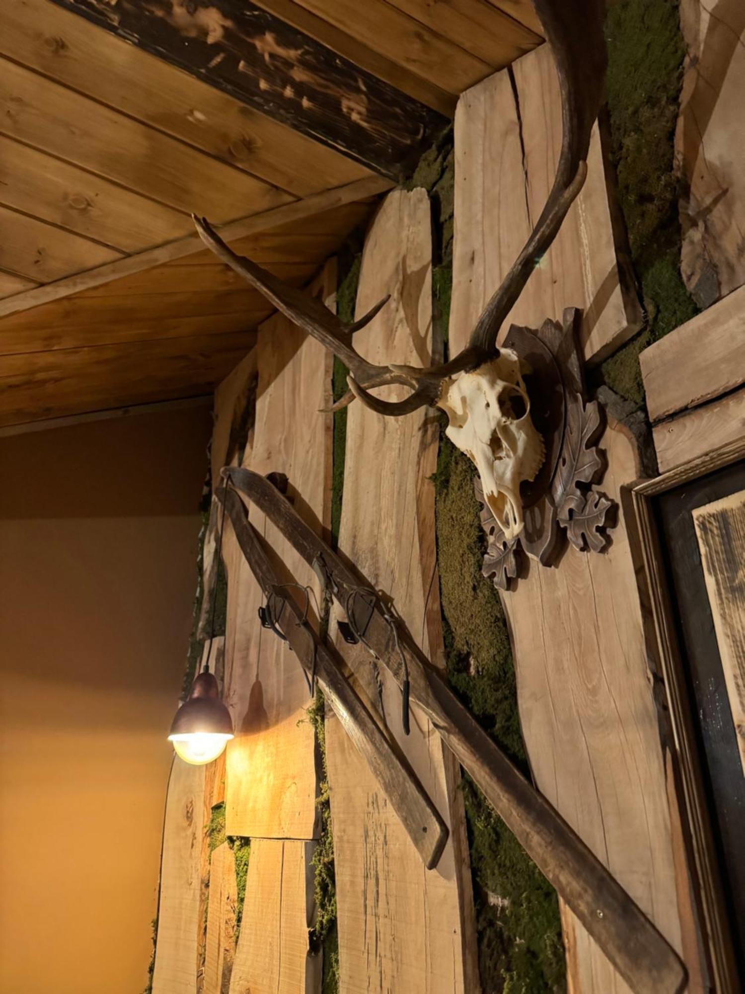 Villa Elena Borovets Esterno foto