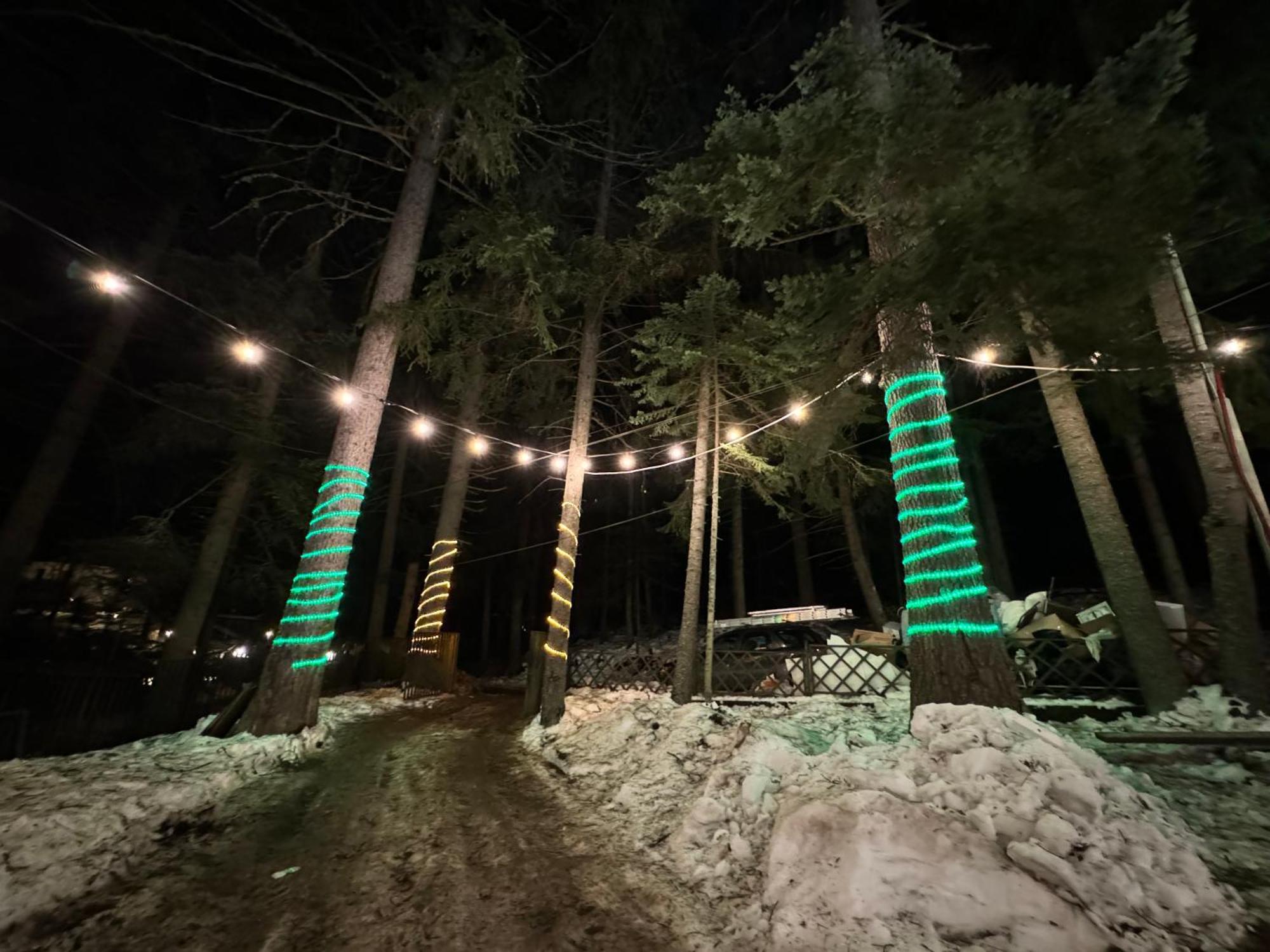 Villa Elena Borovets Esterno foto