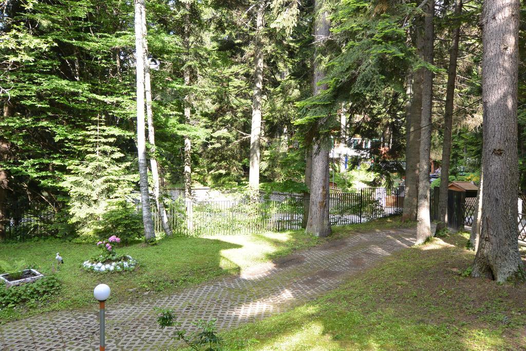 Villa Elena Borovets Esterno foto